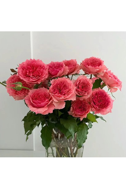 Троянда Корона у зрізці для романтичних букетів